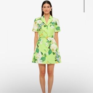 Leo Lin Brigette Dress size 6